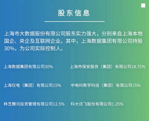 上海市大数据股份有限公司